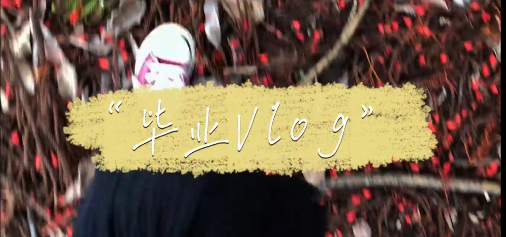 Graduation ceremony in The University of Queensland 昆士兰大学毕业vlog     |    谢昱颖