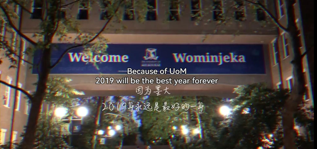 Best year in my life 2019  因为墨大 因为MSD 2019年的每一秒都值得纪念   |   陈影彤