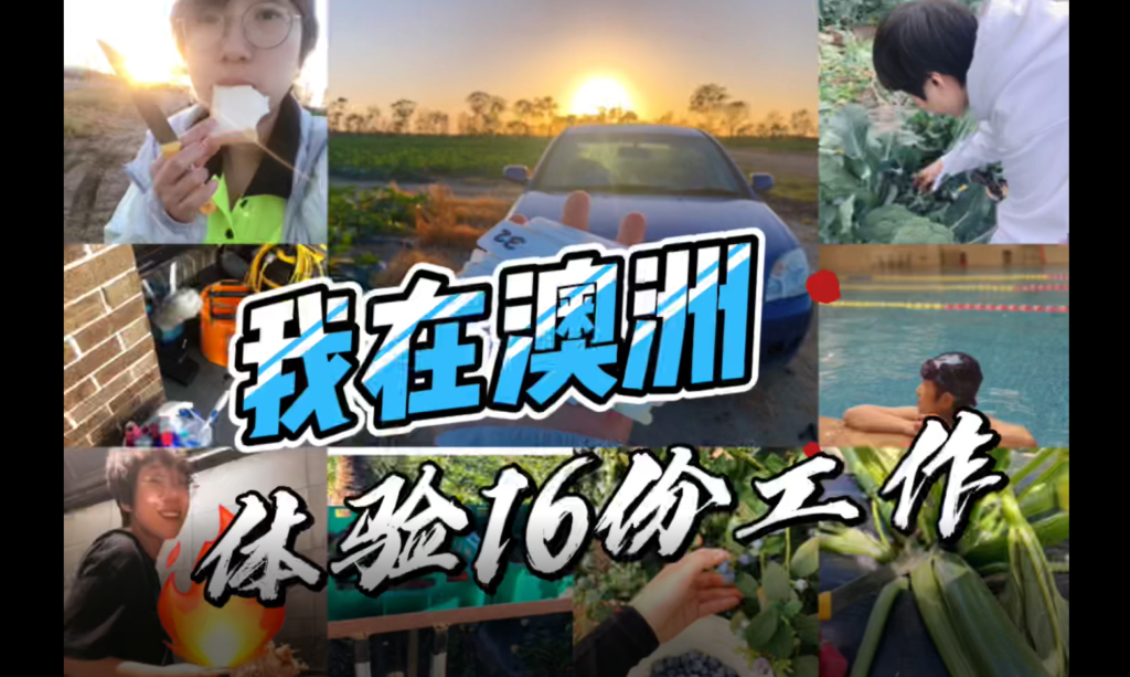 My 16 Jobs in Australia 我在澳洲体验16份工作 | Chenxi