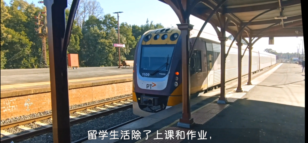 Explore Regional Towns with Vline   坐上Vline，访边远小镇   |    李芊